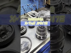 Rassemblement X-Trail JF016E