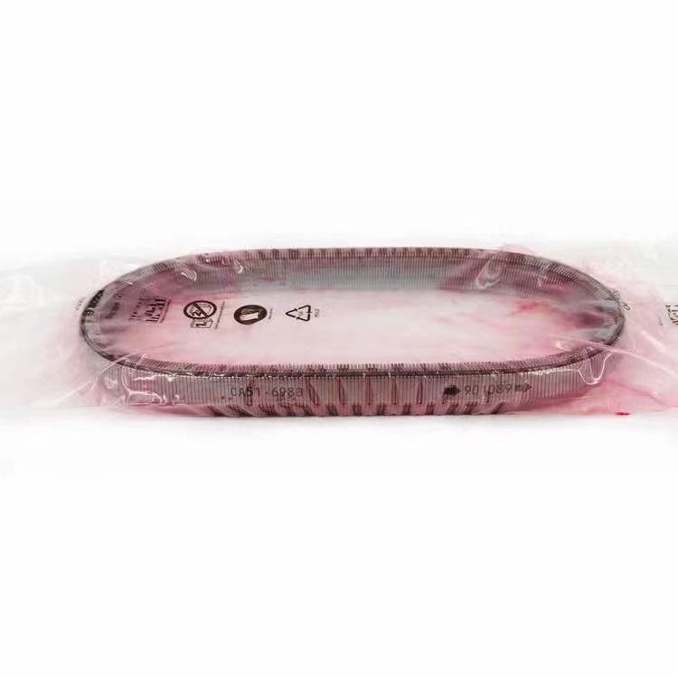 2KG JF017E RE0F10D Chaîne de ceinture de boîte de vitesses pour TEANA X Trail QASHQAI 901074 901089 901096