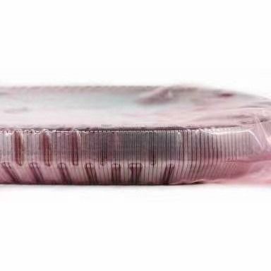 2KG JF017E RE0F10D Chaîne de ceinture de boîte de vitesses pour TEANA X Trail QASHQAI 901074 901089 901096